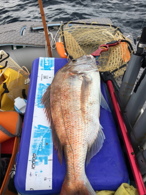 マイボートで丹後タイラバ釣行