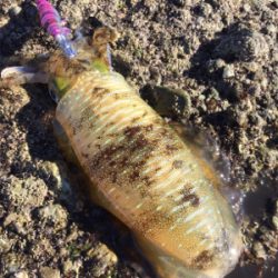 一瞬だけ高活性