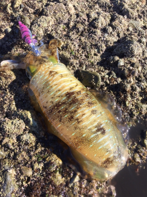 一瞬だけ高活性