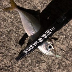 完敗からの安パイ