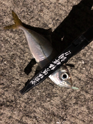 完敗からの安パイ