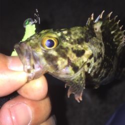 小型が多かったけど楽しかったです