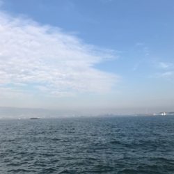 ハピソンかっ飛びボールでタチウオ５本