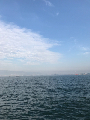 ハピソンかっ飛びボールでタチウオ５本