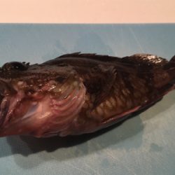 夢舞大橋下、寒すぎて