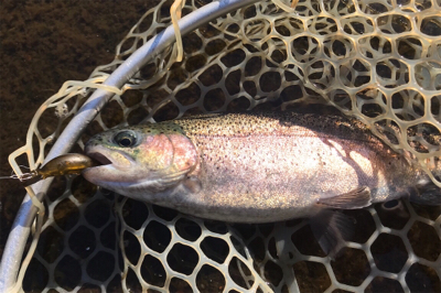 ルアーの引き出し