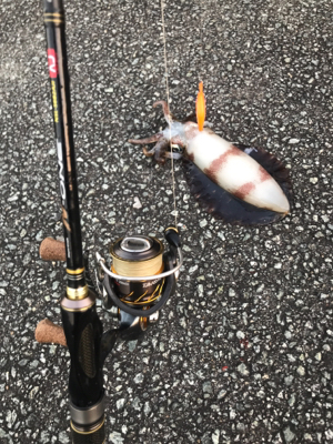 ありがとうございました！