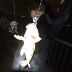 タチウオ✖︎底物●