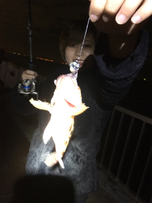 タチウオ✖︎底物●