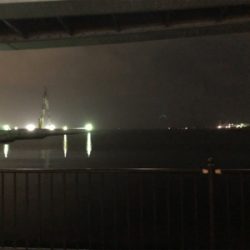 鯖のエサ取り多過ぎ(´༎ຶོρ༎ຶོ`)