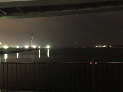 鯖のエサ取り多過ぎ(´༎ຶོρ༎ຶོ`)