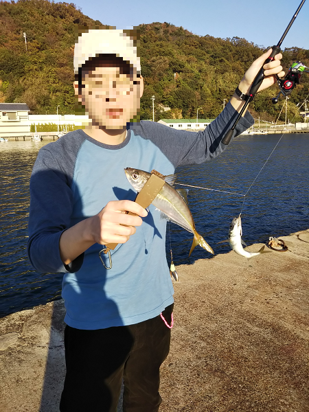 ULSJサビキで良型アジ