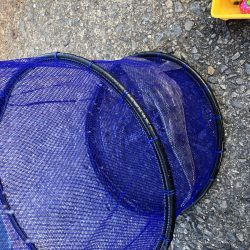 秋のマゴチ美味しくいただきました。