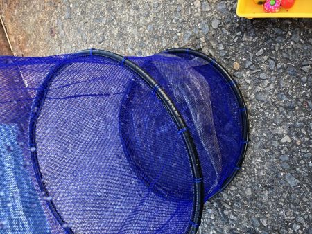 秋のマゴチ美味しくいただきました。