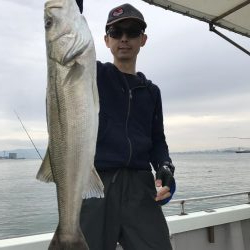 久々のシーバス