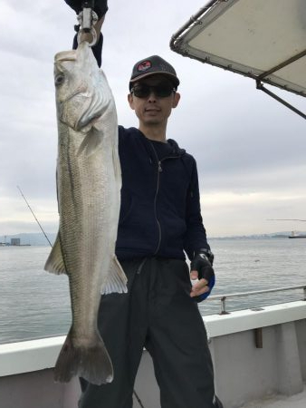 久々のシーバス