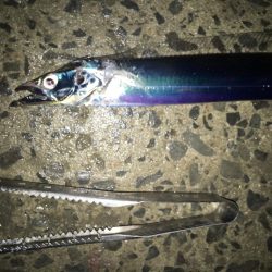 寒くなってきた