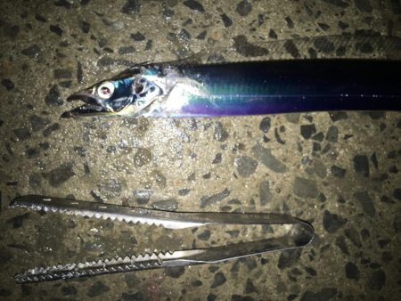 寒くなってきた