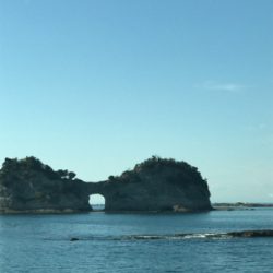 この時期にしちゃちっちゃ⁈