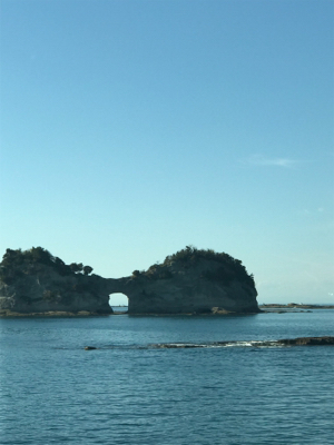 この時期にしちゃちっちゃ⁈