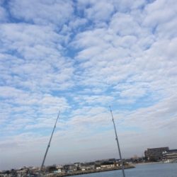 可愛い〜カレイ