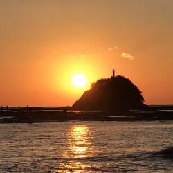 良型には逢えず