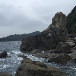 サイレントアサシンでアオリイカ