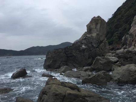 サイレントアサシンでアオリイカ