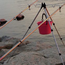 メタボなカレイ