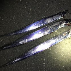 フラっと寄り道