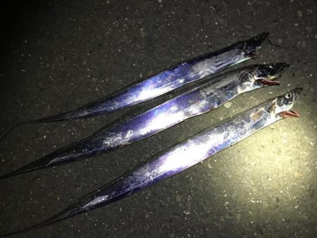 フラっと寄り道