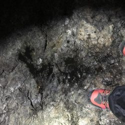 会社の偉いさんと