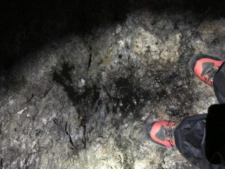 会社の偉いさんと