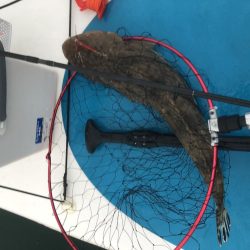 サップフィッシング