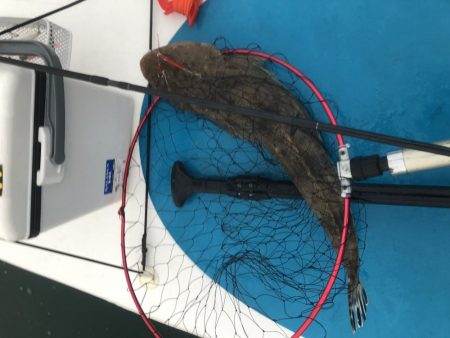 サップフィッシング