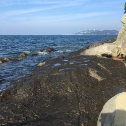 亀浦ゴロタでマダイとウマヅラ