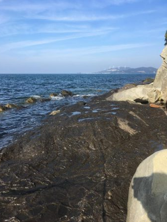 亀浦ゴロタでマダイとウマヅラ