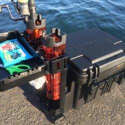 地合い無く厳しいタチウオ