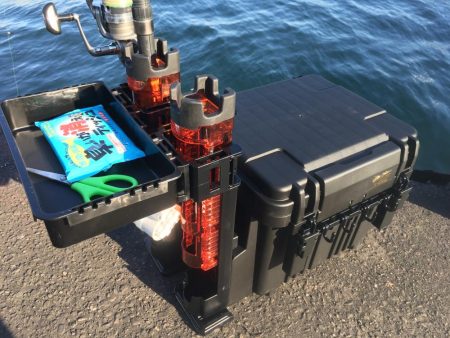 地合い無く厳しいタチウオ