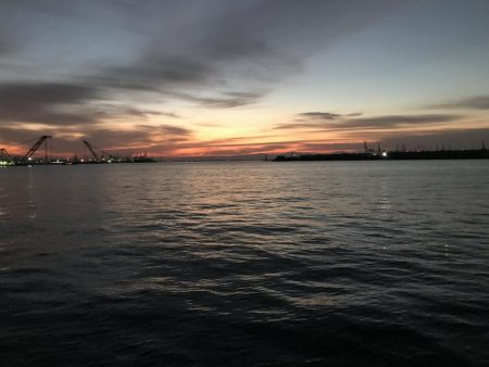 タチウオ終盤。