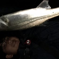 シーバスゲーム