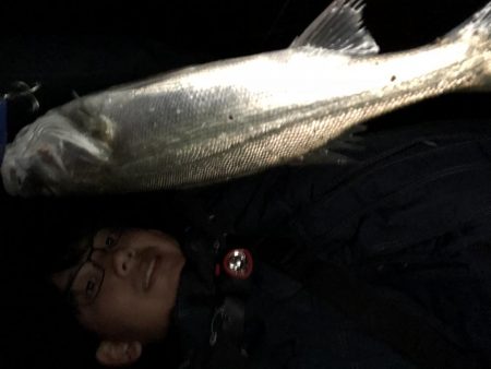 シーバスゲーム