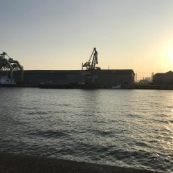 タチウオ何処行った？