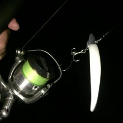 強風タチウオワインド