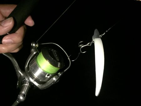 強風タチウオワインド