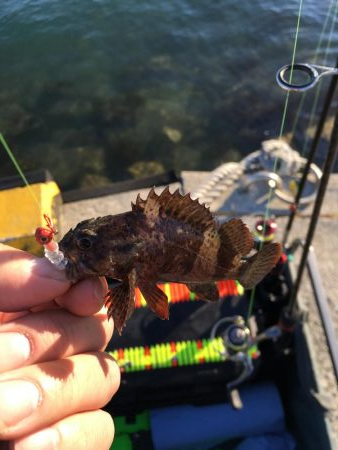 ガシリング、メバリング