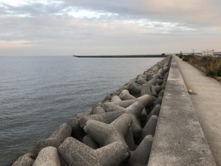 青物狙いでしたが…