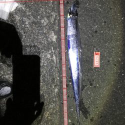 明るい時間に！しかし・・・