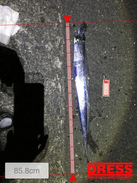 明るい時間に！しかし・・・