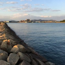 のんびりフィッシング